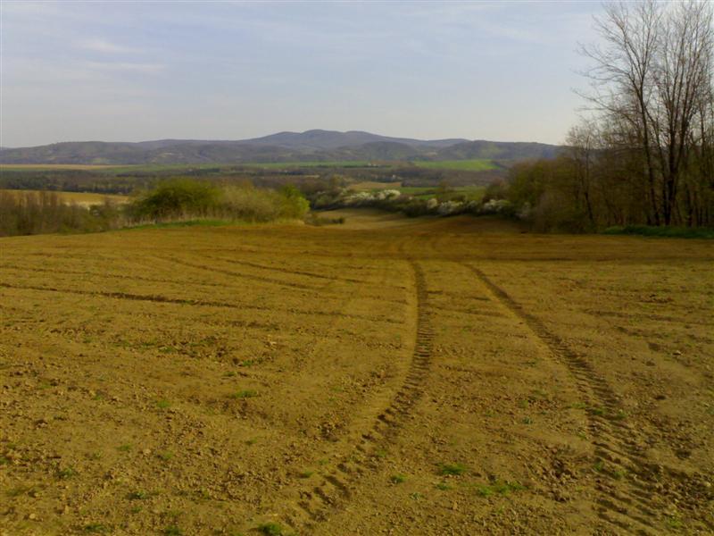 200704091806 .jpg